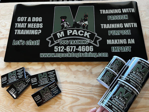 Custom Car Magnetics- Set of 2