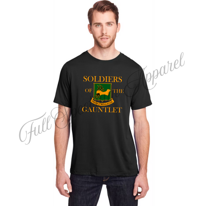 T-Shirt or Dry Fit